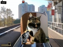 A cat with a gun Meme Template