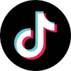 tiktok Meme Template