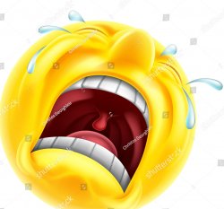 crying_emoji Meme Template