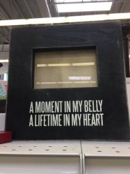 Picture Frame Moment In Belly Lifetime In Heart Meme Template