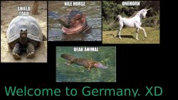 Descriptive animal names Meme Template