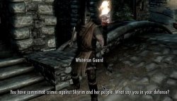 You have committed crimes against Skyrim and her people Meme Template