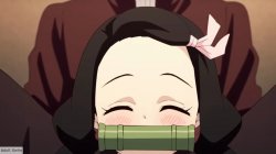 Happy nezuko Meme Template