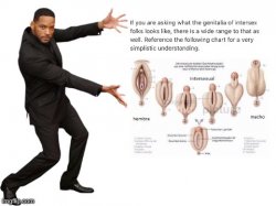 Will Smith explains intersex genitalia Meme Template