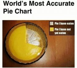 vs Biden's Pie Chart Meme Template