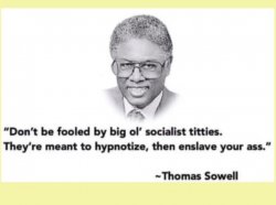 socialist sowell Meme Template