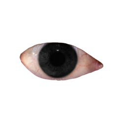 Weirdcore eye Meme Template