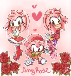 Amy Rose Meme Template