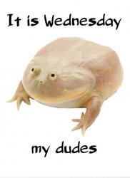 wednesday frog Meme Template
