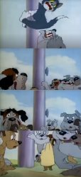 Tom and Jerry Pole meme Meme Template