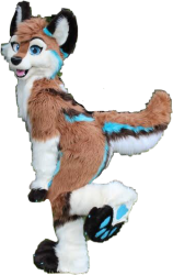 furry Meme Template