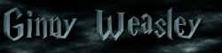 Ginny Weasley Meme Template