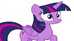 twilight sparkle Meme Template