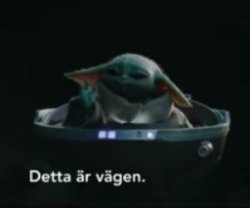 "Detta är vägen"/"This is the way" Meme Template