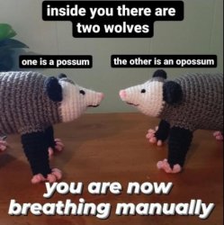 Inside you there are two opossums Meme Template