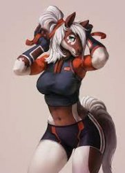 Furry girl in workout gear Meme Template