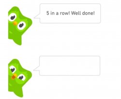 Duolingo 5 days Meme Template