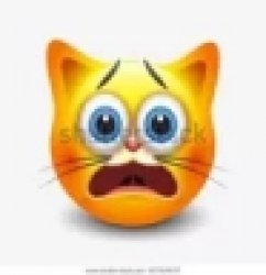 cat stock emoji scared Meme Template