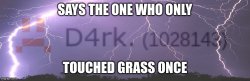 Says the one who never touched grass Meme Template