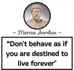 Marcus Aurelius quote Meme Template