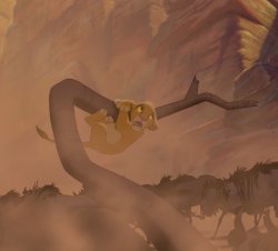 Simba Hang In There Meme Template