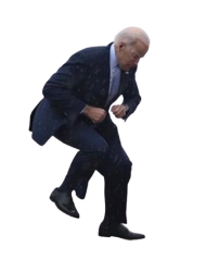 Joe Biden Meme Template