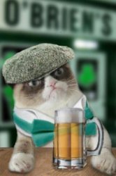 Irish Grump Cat Meme Template