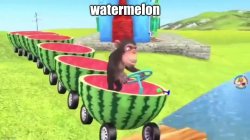 watemelon Meme Template