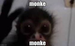 monke Meme Template