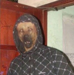 Dawg what? Meme Template