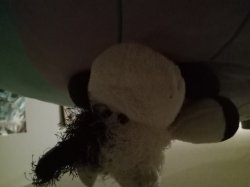 16062thestars Meme Template