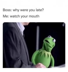 kermit watch your mouth Meme Template