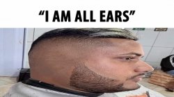 i am all ears Meme Template