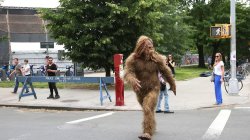 Sasquatch Meme Template