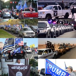 Lots of Trump flags Meme Template