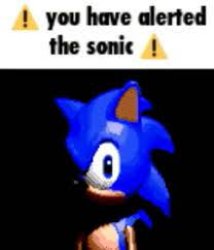 you have alerted the sonic Meme Template