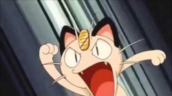 Shut your meowth Meme Template