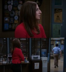 B99 Gina and Boyle Meme Template