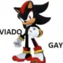 viado gay Meme Template