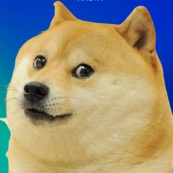 Radix Gradients Doge Meme Template