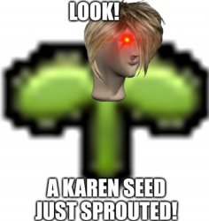 Karen seed Meme Template