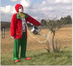 Clown watering tree noose Meme Template
