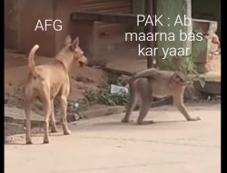pak crying after losing T20 series to AFG Meme Template