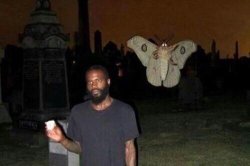 Man and Moth Meme Template