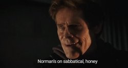 norman's on sabbatical, honey Meme Template