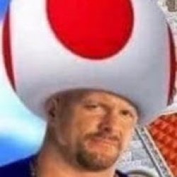 W H A T Meme Template