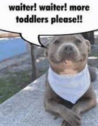 Waiter! Waiter! More toddlers please!! Meme Template