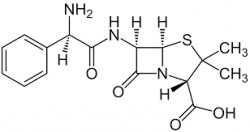 ampicilin Meme Template