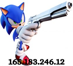 sonic ip address Meme Template