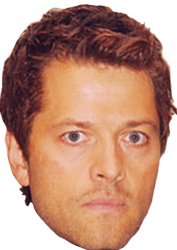 Mishapocalypse Meme Template